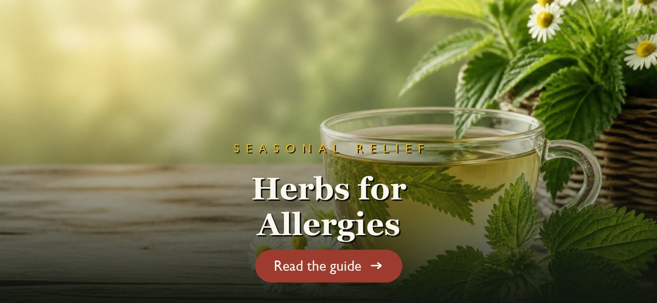 Nettle and chamomile allergy-relief tea with fresh herbs on a wooden table