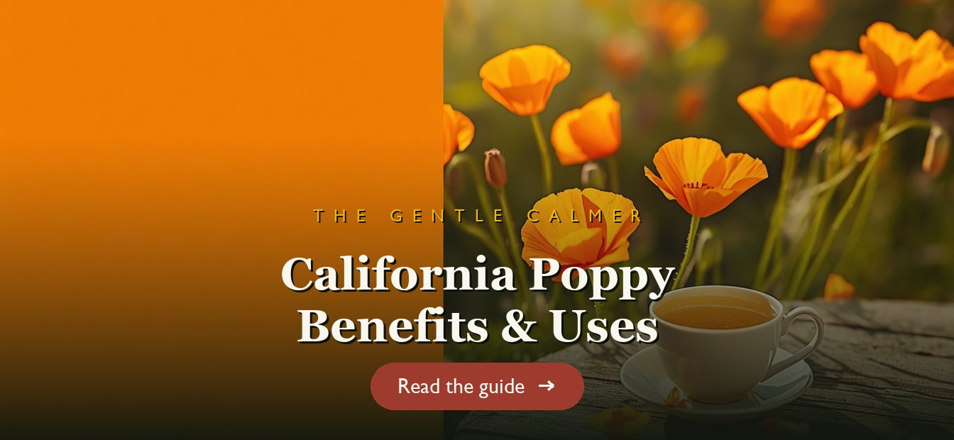Bright orange California poppy flowers in a garden with a calming tea on a wooden table