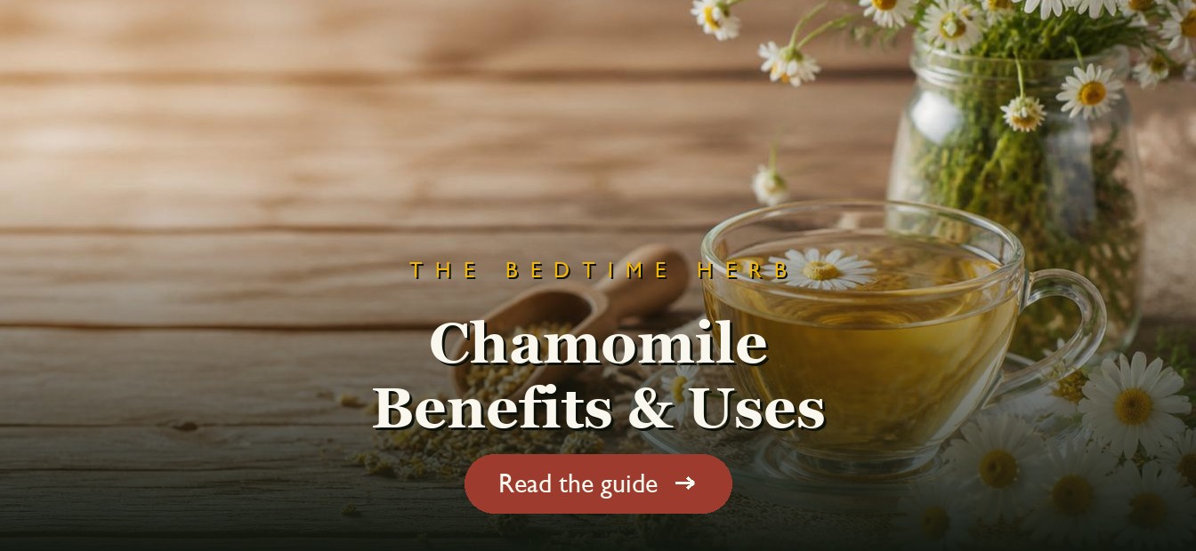 White chamomile flowers with a cup of chamomile tea on a wooden table