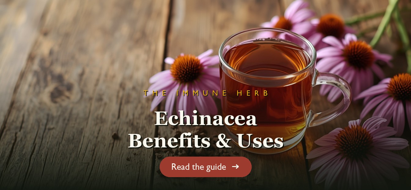 Purple echinacea coneflowers with a cup of echinacea tea on a wooden table