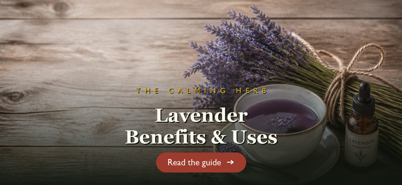 A bundle of dried lavender with lavender tea and oil on a wooden table