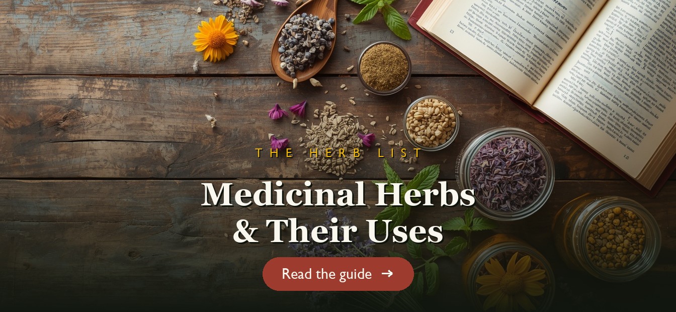 A flat-lay of dried medicinal herbs in jars with an open reference book