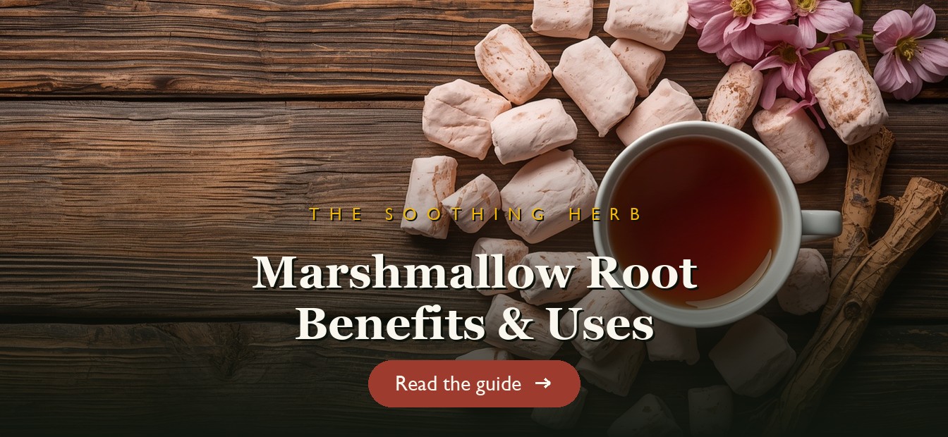 Marshmallow root and pale pink marshmallow flowers with a soothing tea on a wooden table