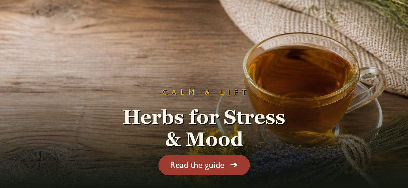 A calming cup of St. John's Wort and lavender tea on a wooden table