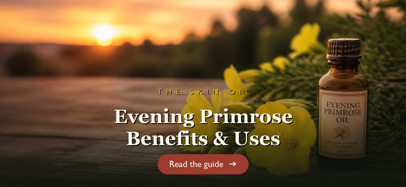Yellow evening primrose flowers with a bottle of evening primrose oil on a wooden table
