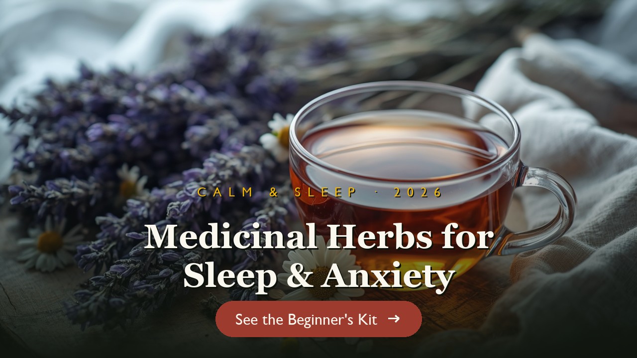 Calming herbal tea with lavender and chamomile on a wooden table