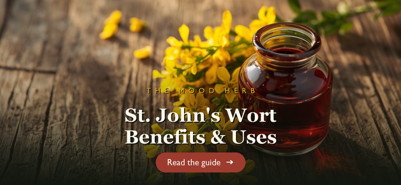 Yellow St. John's Wort flowers with a jar of red infused oil on a wooden table