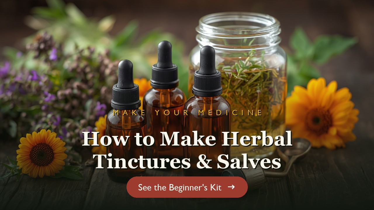 Amber tincture bottles with dropper beside herbs steeping in alcohol