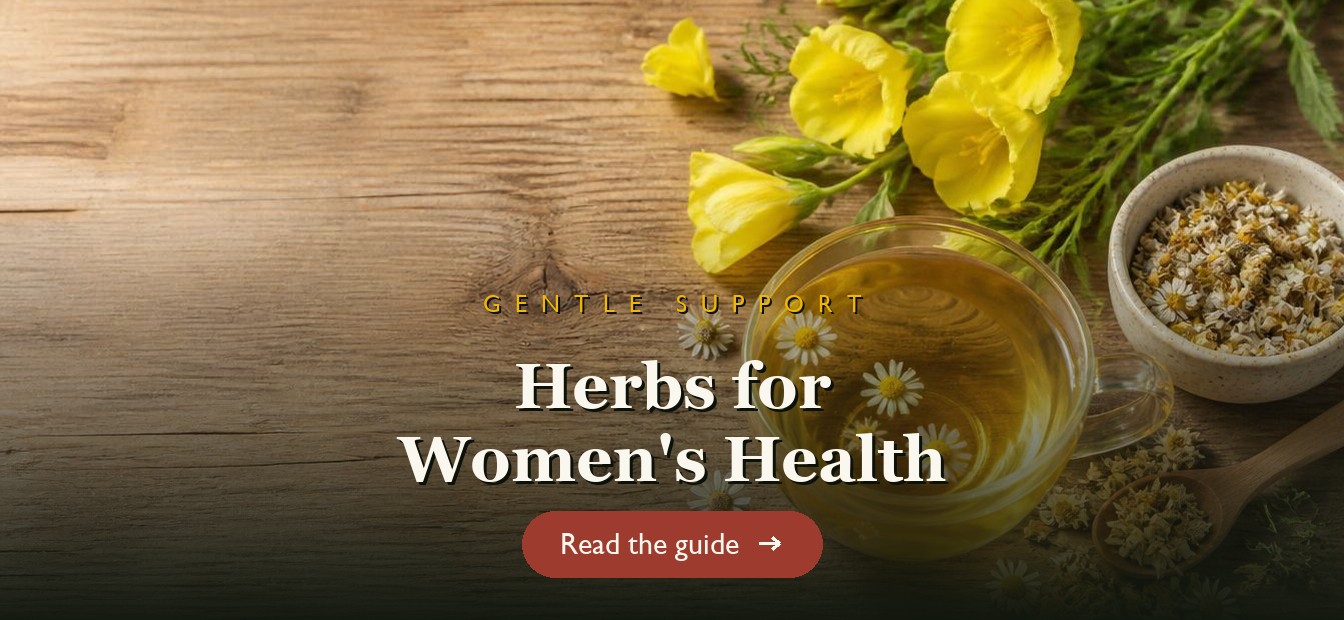 Evening primrose and chamomile herbal tea with fresh flowers on a wooden table